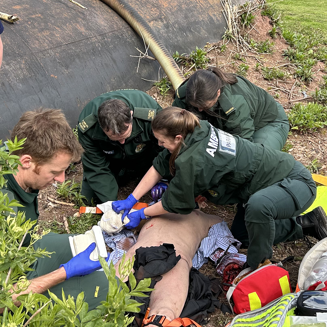WMAS training